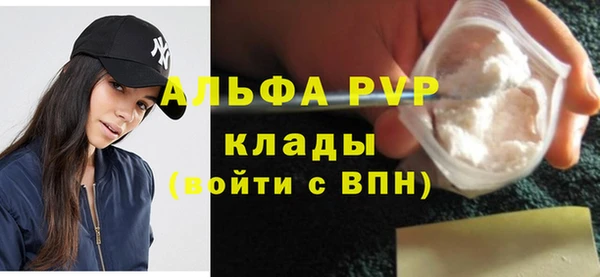 стаф Алзамай