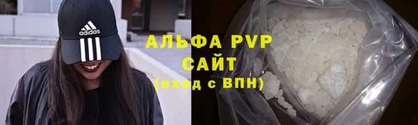стаф Алзамай