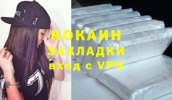 гашик Новозыбков