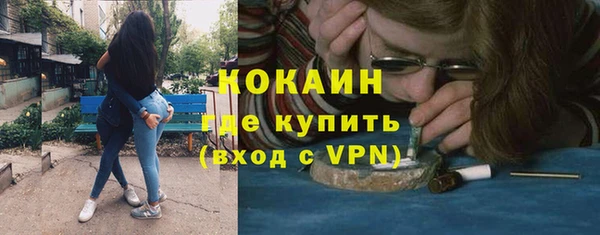 стаф Алзамай